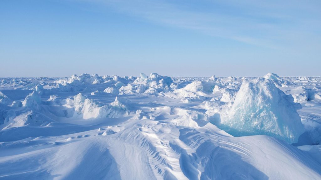 Эксперт: эковолонтерство в Арктике прививает туристам бережность к природе Заполярья